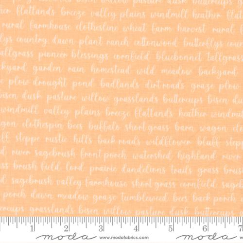 Moda - Pastel Prairie - Apricot 31784 19